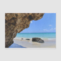 Tropical Beach Coast with a Big Rock