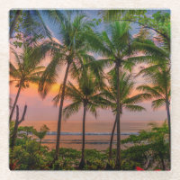 Tropical Beach | Corcovado National Park