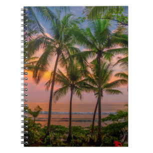 Tropical Beach Corcovado National Park Notebook