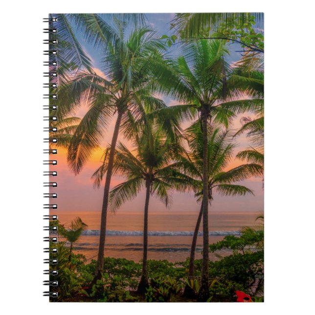 Tropical Beach | Corcovado National Park Notebook (Front)