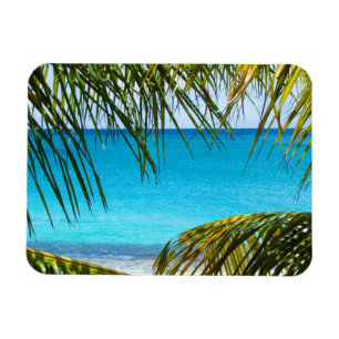 Tropical Beach framed with Palm Fronds Magnet