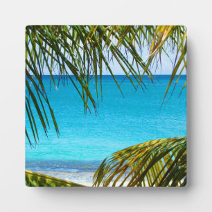 Tropical Beach framed with Palm Fronds Plaque