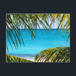 Tropical Beach framed with Palm Fronds Postcard<br><div class="desc">A gorgeous photograph of a tropical beach. The water is crystal clear and azure blue. The image is framed with some sheltering palm fronds. The beach has nice white sand. Calm relaxing and rejuvenating.</div>