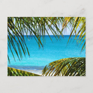Tropical Beach framed with Palm Fronds Postcard