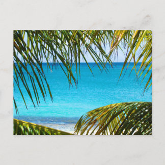 Tropical Beach framed with Palm Fronds Postcard