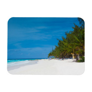 Tropical Beach in Barbados Magnet