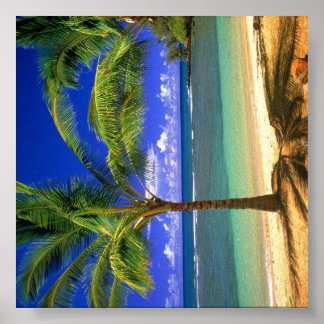 Tropical Beach Paradise Poster