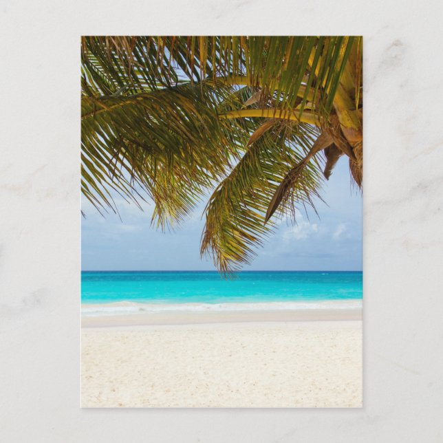 Tropical beach postcard (Front)