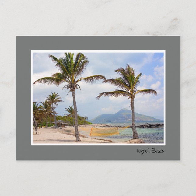 Tropical Beach Postcard (Front)