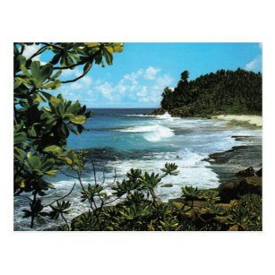 Vintage Beach Paintings Postcards | Zazzle AU