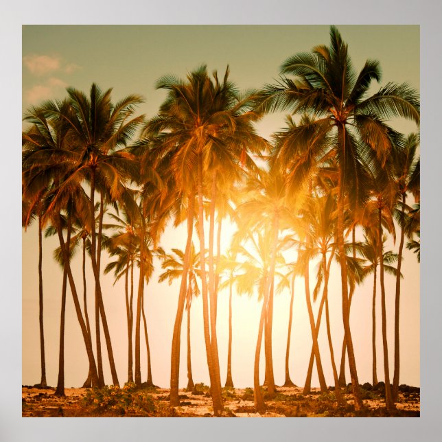Tropical beach poster (Front)
