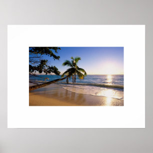 Tropical Beach Poster