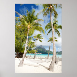Tropical beach poster