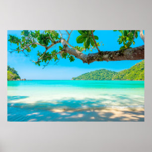 Tropical Beach Poster