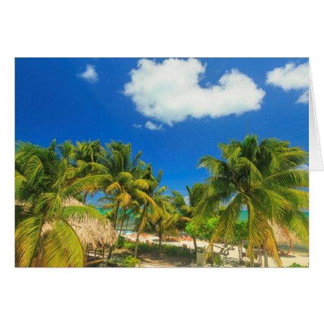 Tropical beach resort, Belise (Front Horizontal)