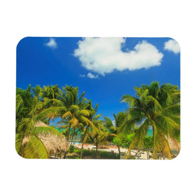 Tropical beach resort, Belise Magnet (Horizontal)