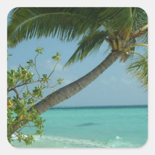 Tropical Beach Sand Sun Water Ocean Waves Surf Art Square Sticker