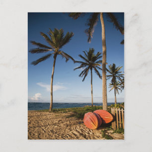 Tropical Beach Scene Postcard