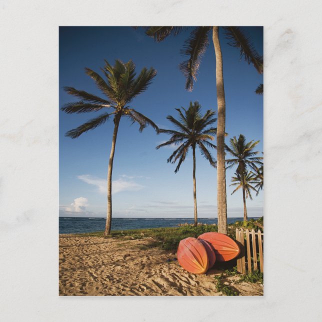 Tropical Beach Scene Postcard (Front)