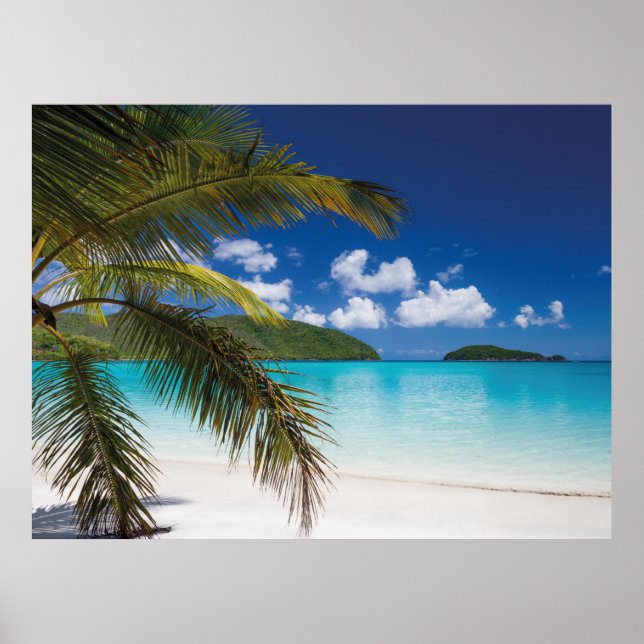 Tropical Beach Scene Poster (Front)