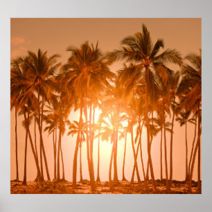 Tropical beach: scenic natural view poster