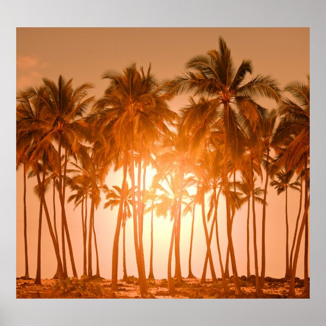 Tropical beach: scenic natural view poster (Front)