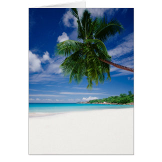 Tropical Beach | Seychelles