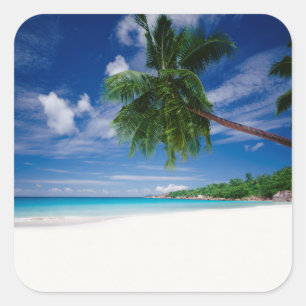 Tropical Beach   Seychelles Square Sticker