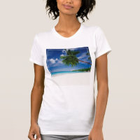 Tropical Beach | Seychelles