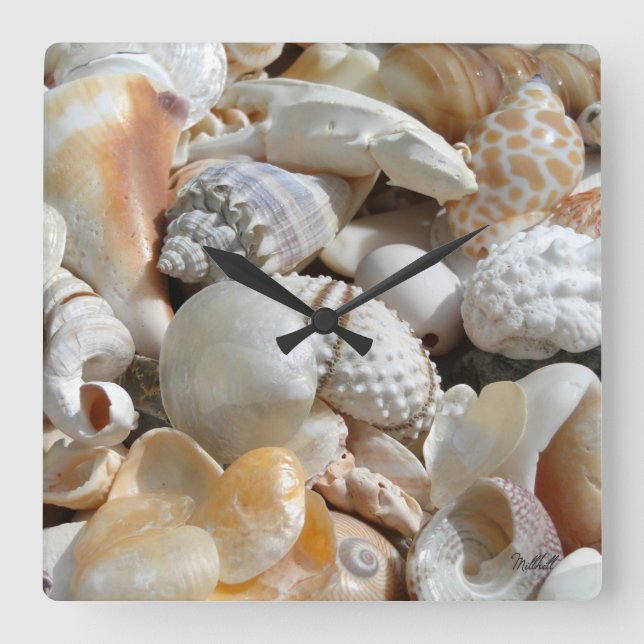 Tropical Beach Shells Photography Wall Clock (Front)