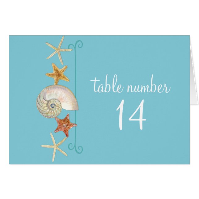 Tropical Beach Shells Starfish Nautilus Summer (Front Horizontal)