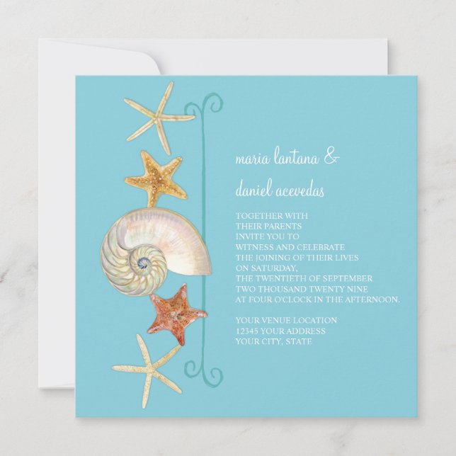 Tropical Beach Shells Starfish Nautilus Summer Invitation (Front)
