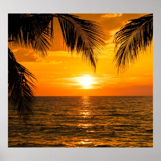 Tropical Beach Sunset Palm Illustration Poster (Front)