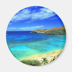 TROPICAL BEACH WISH YOU WERE HERE CUSTOM POSTCARD MAGNET