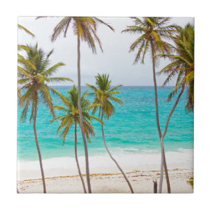 Tropical Beach with Palm Tree Ceramic Tile