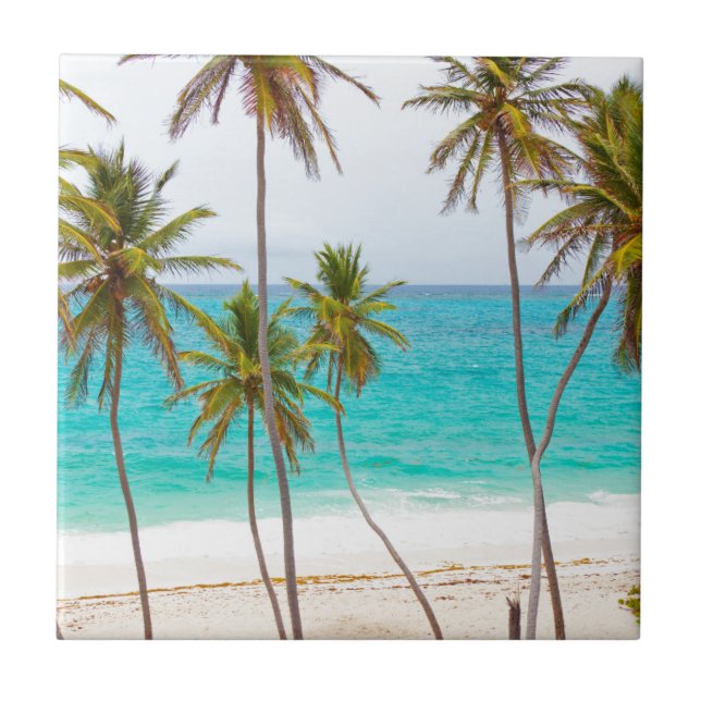 Tropical Beach with Palm Tree Ceramic Tile (Front)