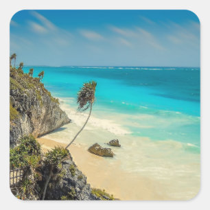 Tropical Beach with Wind Swept Palm Trees Square Sticker