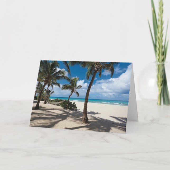 Tropical Beaches | Anguilla Beach, Palm Tree Card (Front)