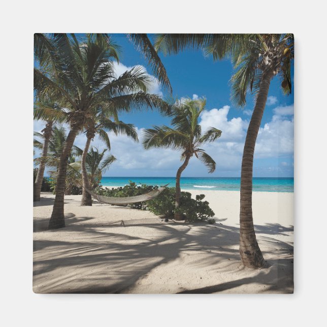 Tropical Beaches | Anguilla Beach, Palm Tree Magnet (Front)