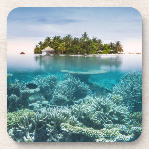 Tropical Beaches   Ari Atoll Maldives Coaster