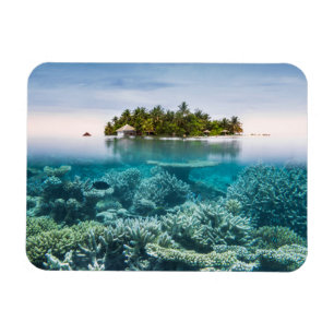 Tropical Beaches   Ari Atoll Maldives Magnet