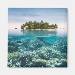 Tropical Beaches   Ari Atoll Maldives Magnet