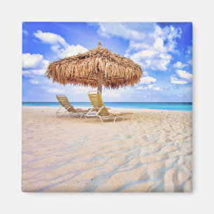 Tropical Beaches Aruba Sandy Beach Magnet