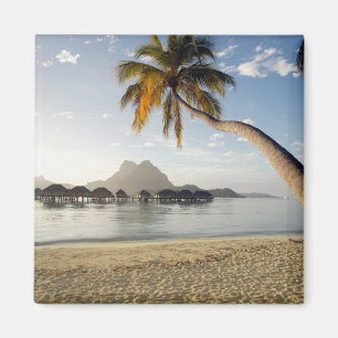 Tropical Beaches   Beach Huts, Bora Bora Magnet