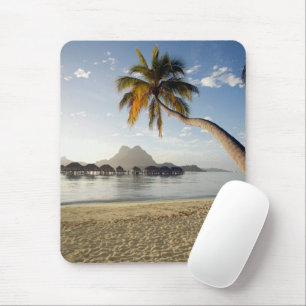 Tropical Beaches   Beach Huts, Bora Bora Mouse Pad
