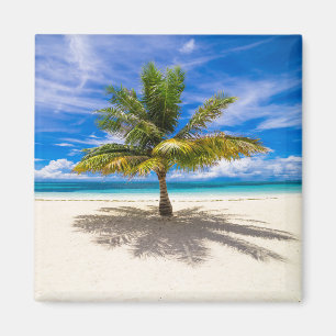 Tropical Beaches Bora Bora, French Polynesia Magnet