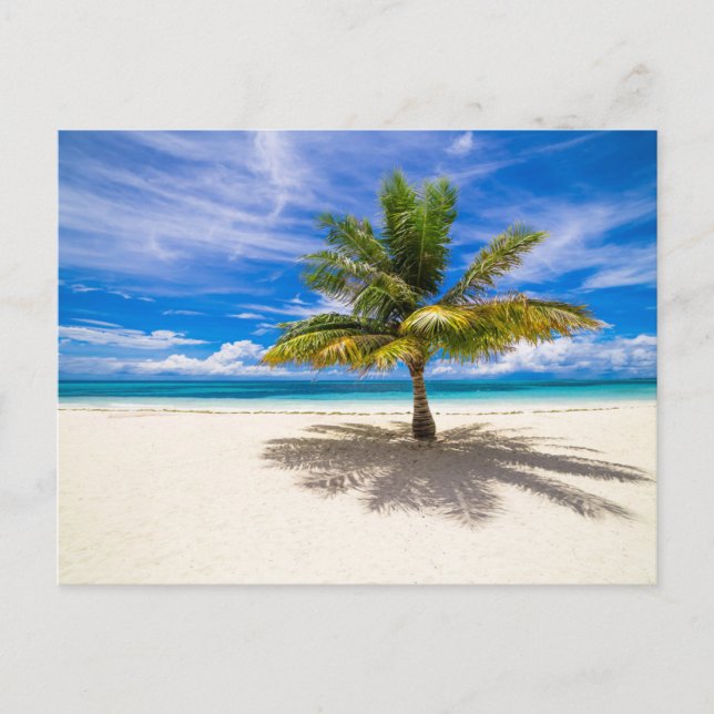 Tropical Beaches | Bora Bora, French Polynesia Postcard (Front)