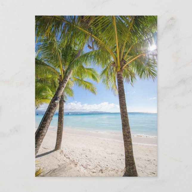 Tropical Beaches | Boracay Philippines Postcard (Front)