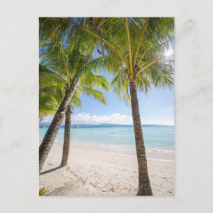 Tropical Beaches   Boracay Philippines Postcard