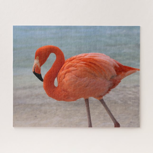 Tropical Beaches | Caribbean Flamingo, Aruba Jigsaw Puzzle (Horizontal)